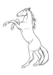 Desenho de Cavalo Desenho Colorir Imprimir 048