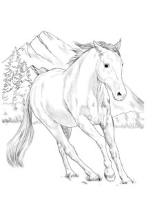Desenho de Cavalo Desenho Colorir Imprimir 061