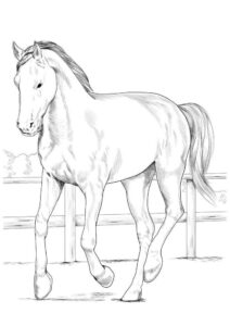 Desenho de Cavalo Desenho Colorir Imprimir 062