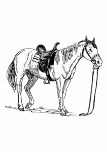 Desenho de Cavalo Desenho Colorir Imprimir 077