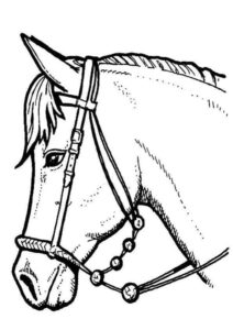 Desenho de Cavalo Desenho Colorir Imprimir 109