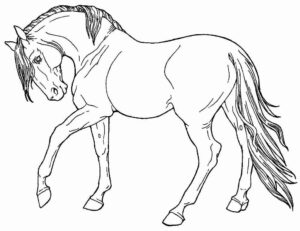 Desenho de Cavalo Desenho Colorir Imprimir 112