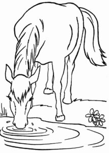 Desenho de Cavalo Desenho Colorir Imprimir 117