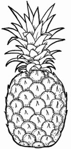 Desenho de Comida Desenho Colorir Imprimir 19