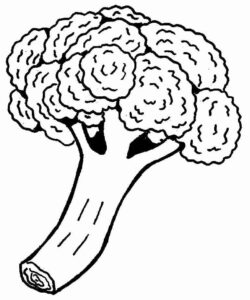 Desenho de Comida Desenho Colorir Imprimir 28
