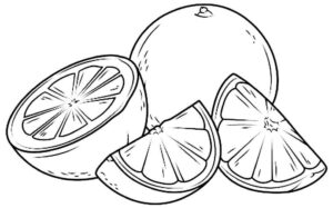 Desenho de Comida Desenho Colorir Imprimir 67