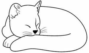 Desenho de Desenhos Para Colorir De Gatos 12