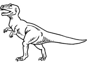 Desenho de Dinossauros Desenho Colorir Imprimir 04