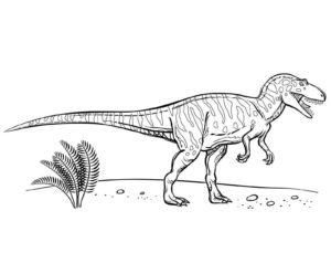 Desenho de Dinossauros Desenho Colorir Imprimir 05