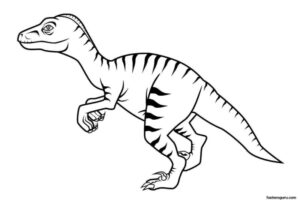 Desenho de Dinossauros Desenho Colorir Imprimir 09