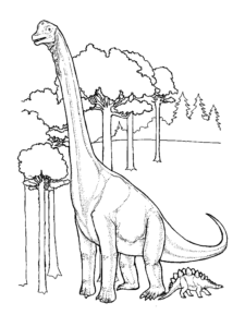 Desenho de Dinossauros Desenho Colorir Imprimir 11