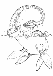 Desenho de Dinossauros Desenho Colorir Imprimir 59