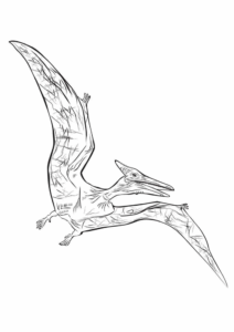 Desenho de Dinossauros Desenho Colorir Imprimir 60