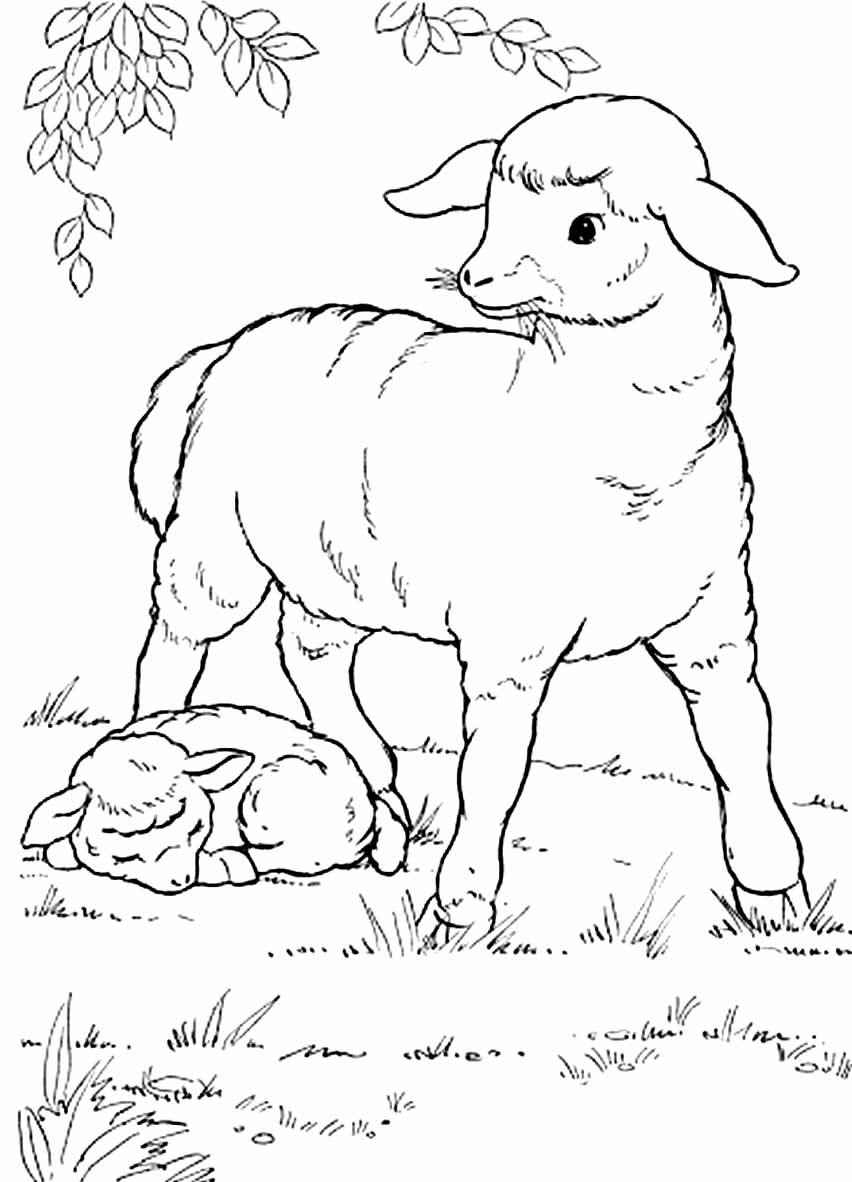 Desenho de Fazenda Desenho Colorir Imprimir 03