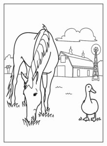 Desenho de Fazenda Desenho Colorir Imprimir 36
