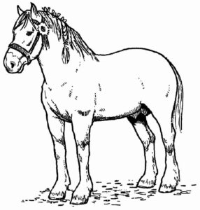 Desenho de Fazenda Desenho Colorir Imprimir 37