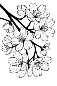 Desenho de Flores Desenho Colorir Imprimir 54