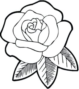 Desenho de Flores Desenho Colorir Imprimir 66