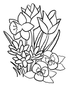 Desenho de Flores Desenho Colorir Imprimir 69