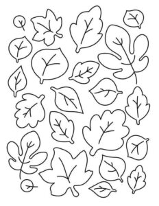 Desenho de Folhas Desenho Colorir Imprimir 02