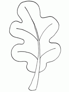 Desenho de Folhas Desenho Colorir Imprimir 03