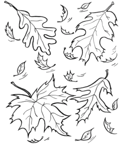 Desenho de Folhas Desenho Colorir Imprimir 05