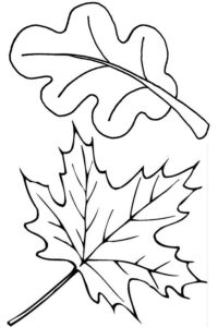 Desenho de Folhas Desenho Colorir Imprimir 07