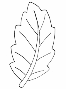 Desenho de Folhas Desenho Colorir Imprimir 10