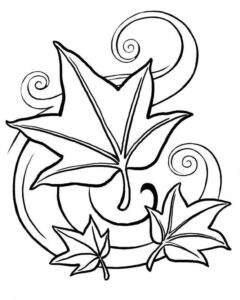 Desenho de Folhas Desenho Colorir Imprimir 11