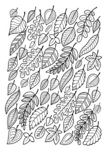 Desenho de Folhas Desenho Colorir Imprimir 19