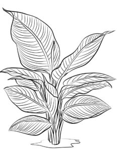 Desenho de Folhas Desenho Colorir Imprimir 21