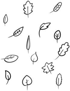 Desenho de Folhas Desenho Colorir Imprimir 24