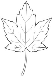 Desenho de Folhas Desenho Colorir Imprimir 28