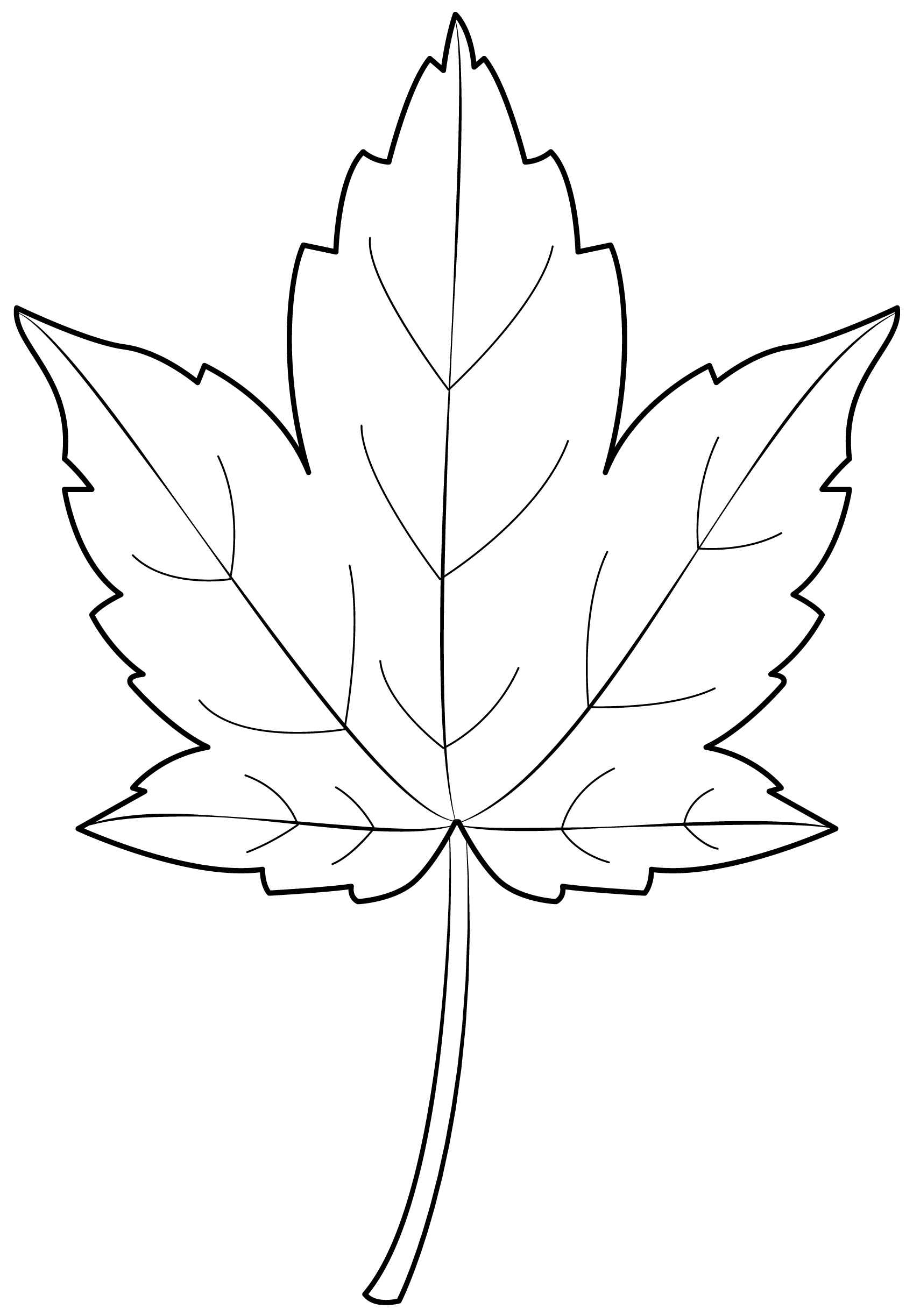 Desenho de Folhas Desenho Colorir Imprimir 28