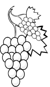 Desenho de Frutas Desenho Colorir Imprimir 20