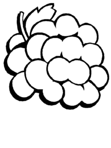 Desenho de Frutas Desenho Colorir Imprimir 21