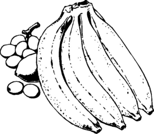 Desenho de Frutas Desenho Colorir Imprimir 23