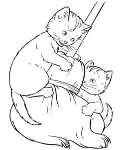 Desenho de Gato Para Colorir 10