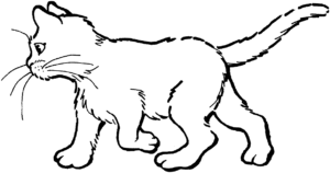 Desenho de Gato Para Colorir 7