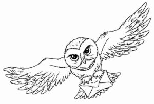 Desenho de Harry Potter Desenho Colorir Imprimir 09
