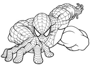 Desenho de Homem Aranha Imprimir 208