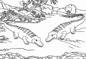 Desenho de Jacaré Desenho Colorir Imprimir 13