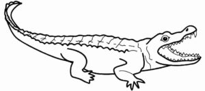Desenho de Jacaré Desenho Colorir Imprimir 18