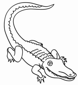 Desenho de Jacaré Desenho Colorir Imprimir 34