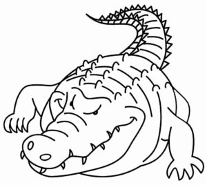 Desenho de Jacaré Desenho Colorir Imprimir 40