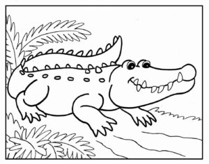 Desenho de Jacaré Desenho Colorir Imprimir 42