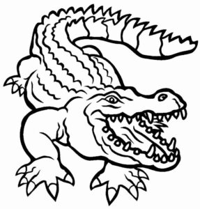 Desenho de Jacaré Desenho Colorir Imprimir 53