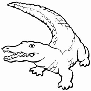 Desenho de Jacaré Desenho Colorir Imprimir 58