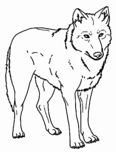 Desenho de Lobo Desenho Colorir Imprimir 03
