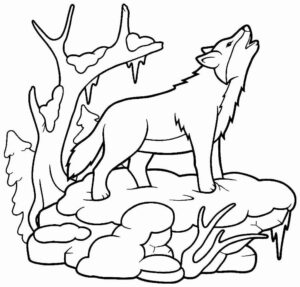 Desenho de Lobo Desenho Colorir Imprimir 08
